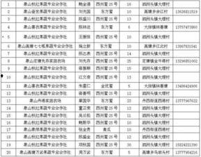 娱乐性质的瓜怎么吃,如何轻松享用娱乐八卦大餐